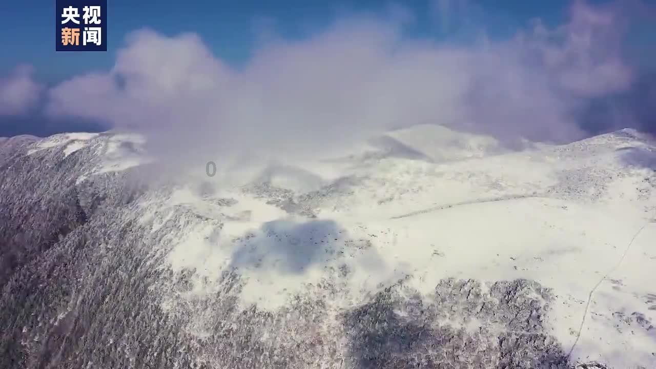 有杀气童话