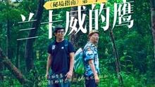 组装机械恐龙3