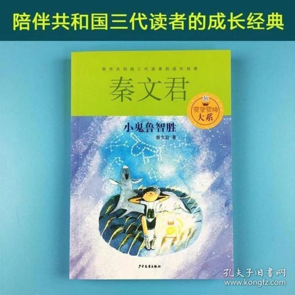 强大的狮子拼图
