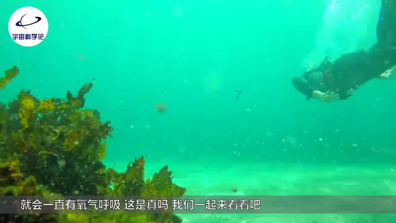 时尚芭比做美甲