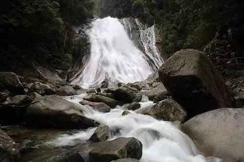 春雨直播app