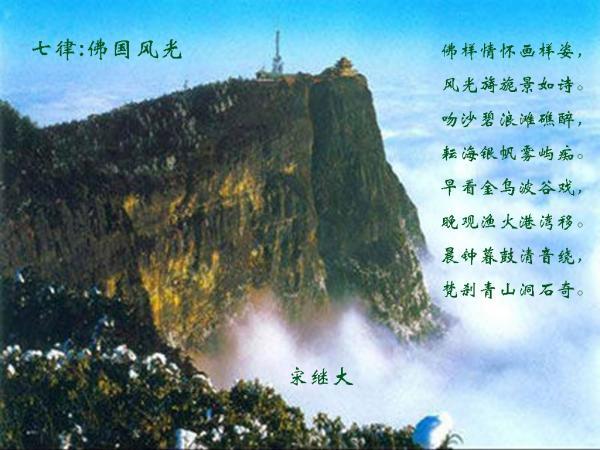 哈尼和她的宠物们