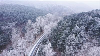 全民剧本大师内置菜单
